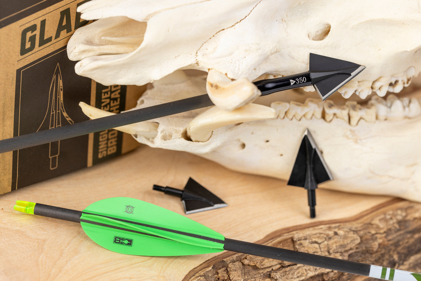 Terra Firma FORTIS 4mm Fletched Arrows