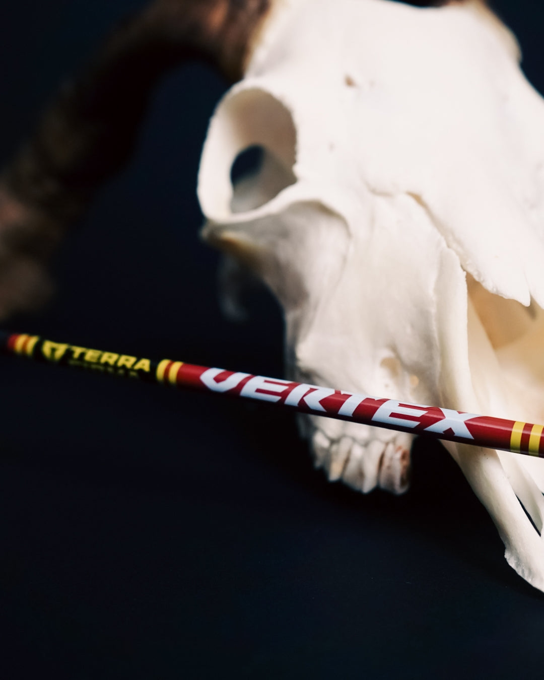 Terra Firma VERTEX 5mm Fletched Arrows
