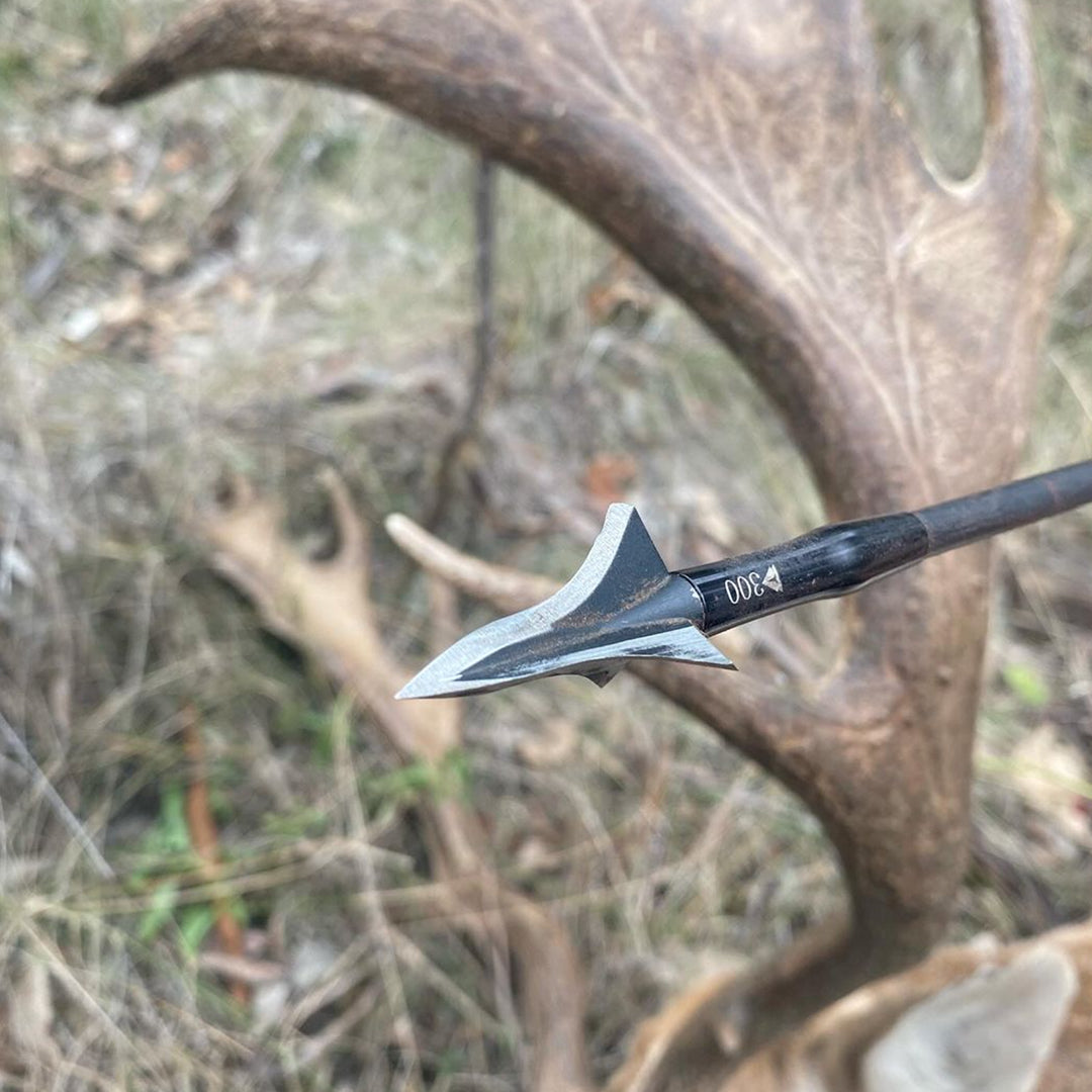 Terra Firma Gladius 3 Blade Broadhead