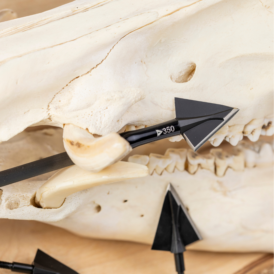 Terra Firma Venator 2 Blade Broadhead