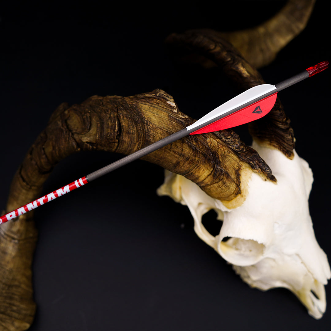 Terra Firma BANTAM Youth 4mm Fletched Arrows